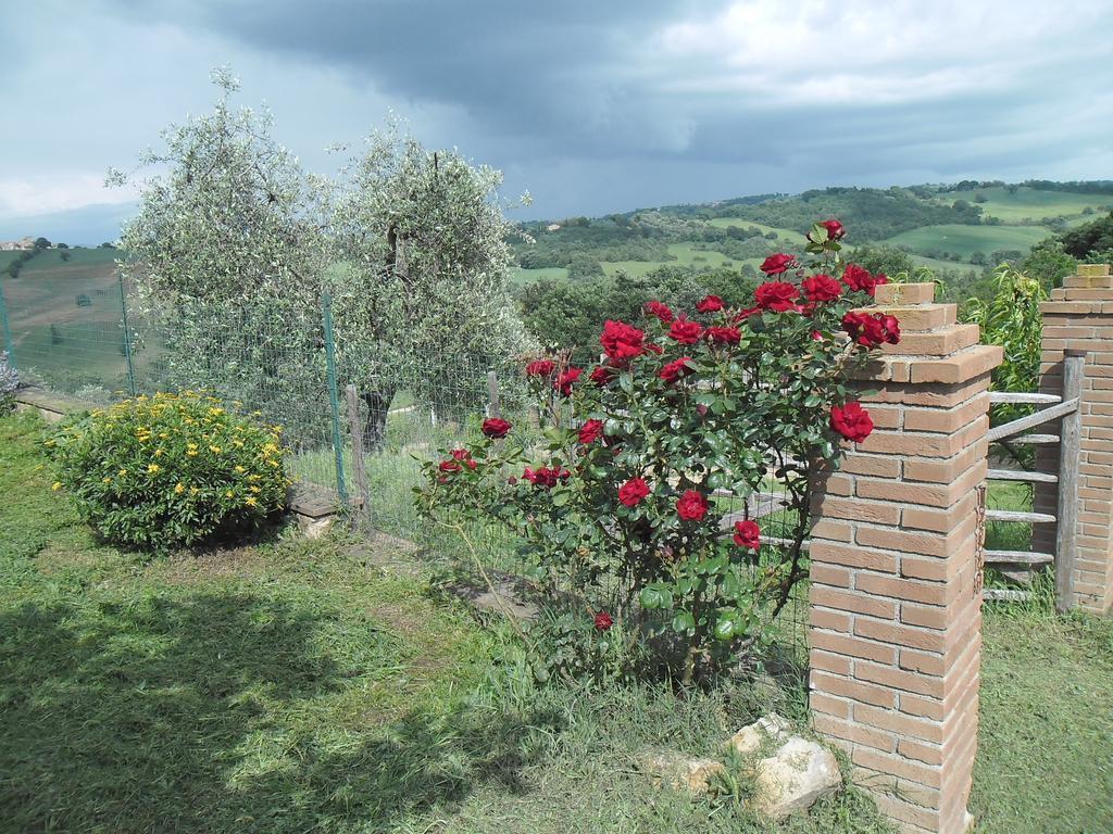 Poggio Petrella Villa Manciano Exterior foto